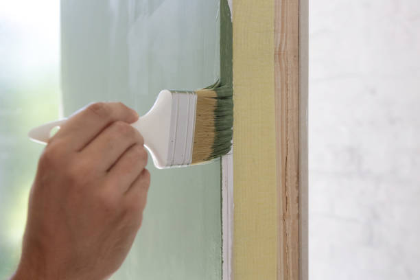 Best Basement Mold Removal  in Midway, GA