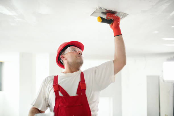 Best Post-Construction Mold Inspection  in Midway, GA